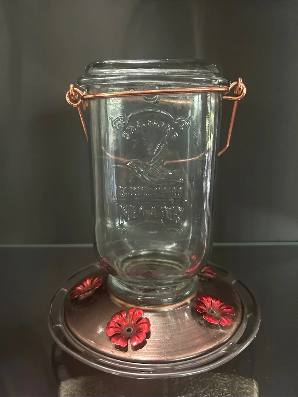 Mason Jar Hummingbird Feeder, Glass Hummingbird Feeders for Outdoors, 5 perches